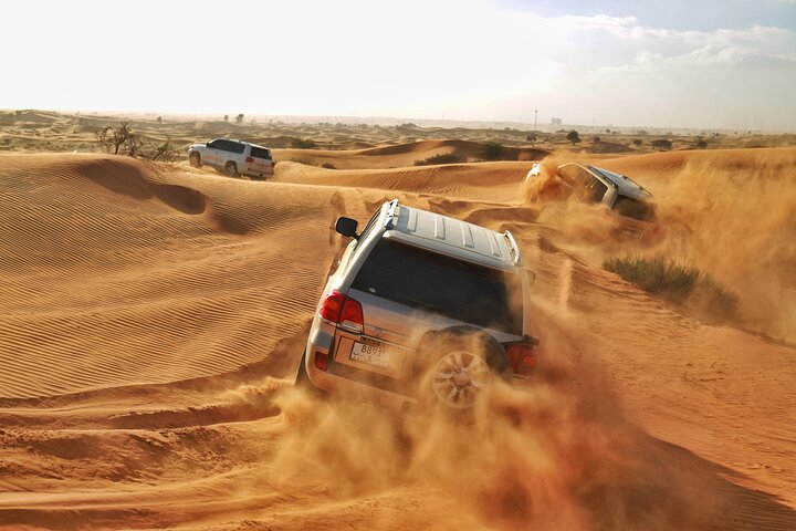 group safari
